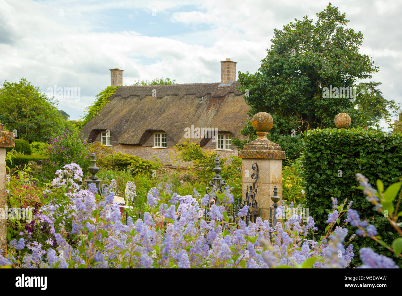 English cottage gardens hi-res stock photography and images - Alamy