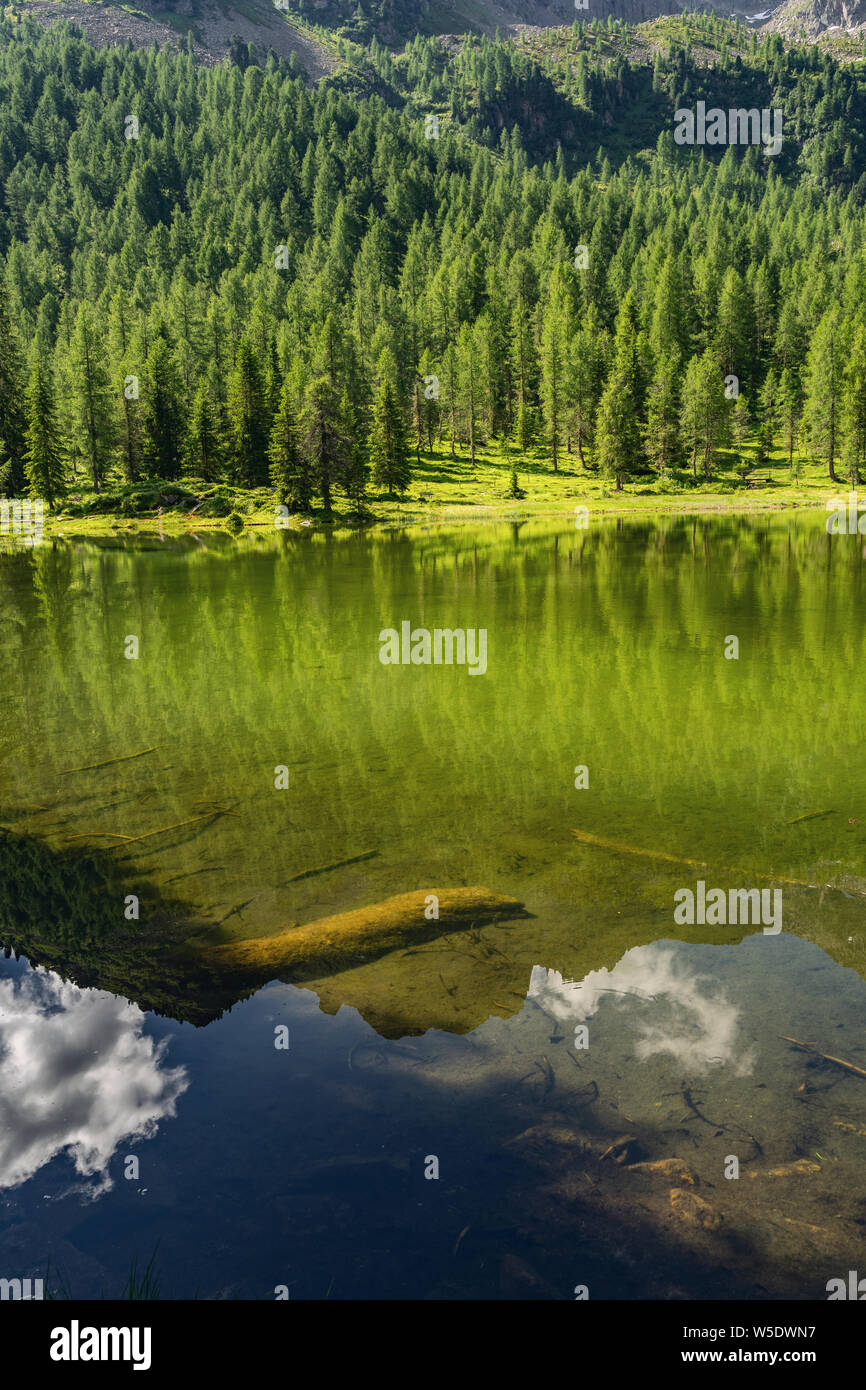 Idyllic landscape with green forest and lake Stock Photo - Alamy