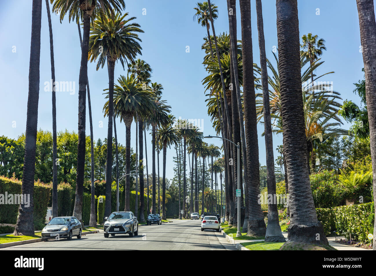 Los Angeles California, USA. May 31, 2019. Beverly hills, Palm trees and blue sky background. Sunny spring day. Stock Photo