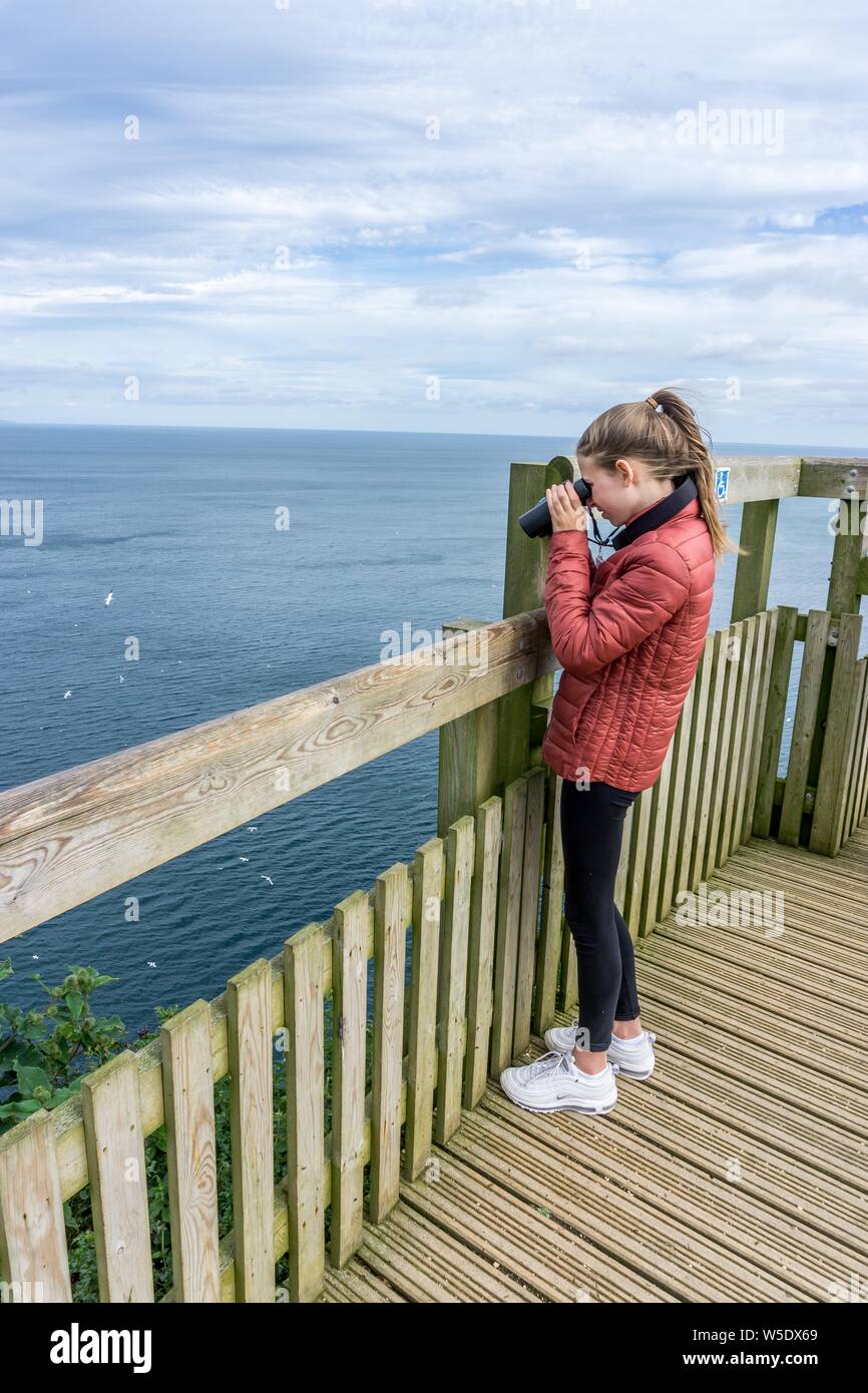 Girl viewing birds through binoculars, RSPB Bempton Cliffs Seabird Centre, East Yorkshire, England, UK Stock Photo