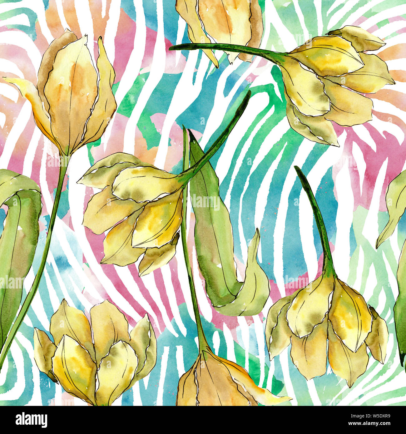 Tulip floral botanical flowers. Watercolor background illustration set ...