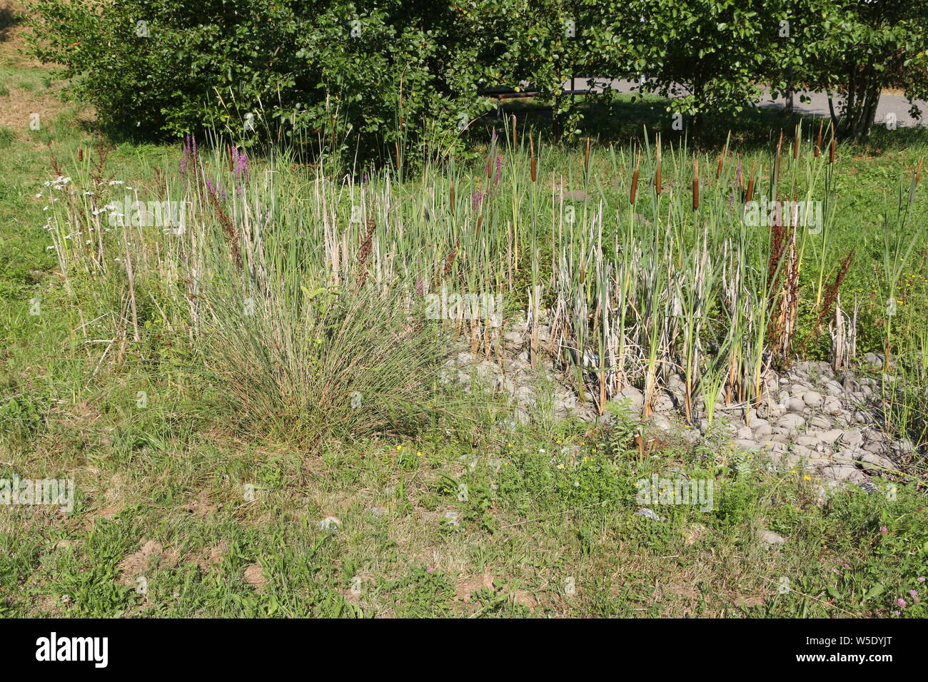 High Resolution Stock Photography and Images Alamy