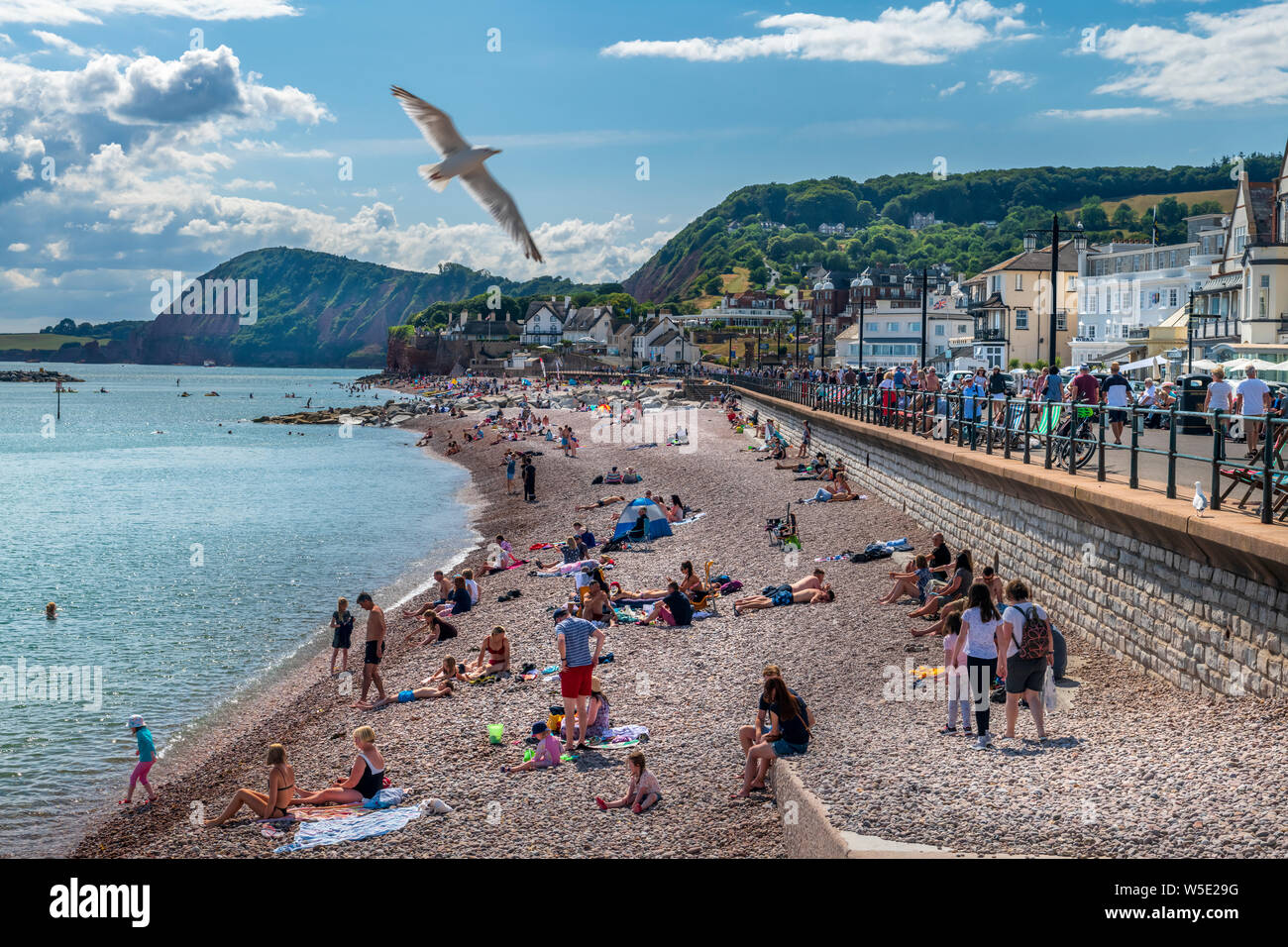 Sidmouth devon esplanade hires stock photography and images Alamy