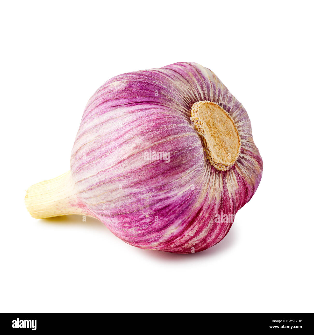 Violet bulb of fresh garlic on white Stock Photo
