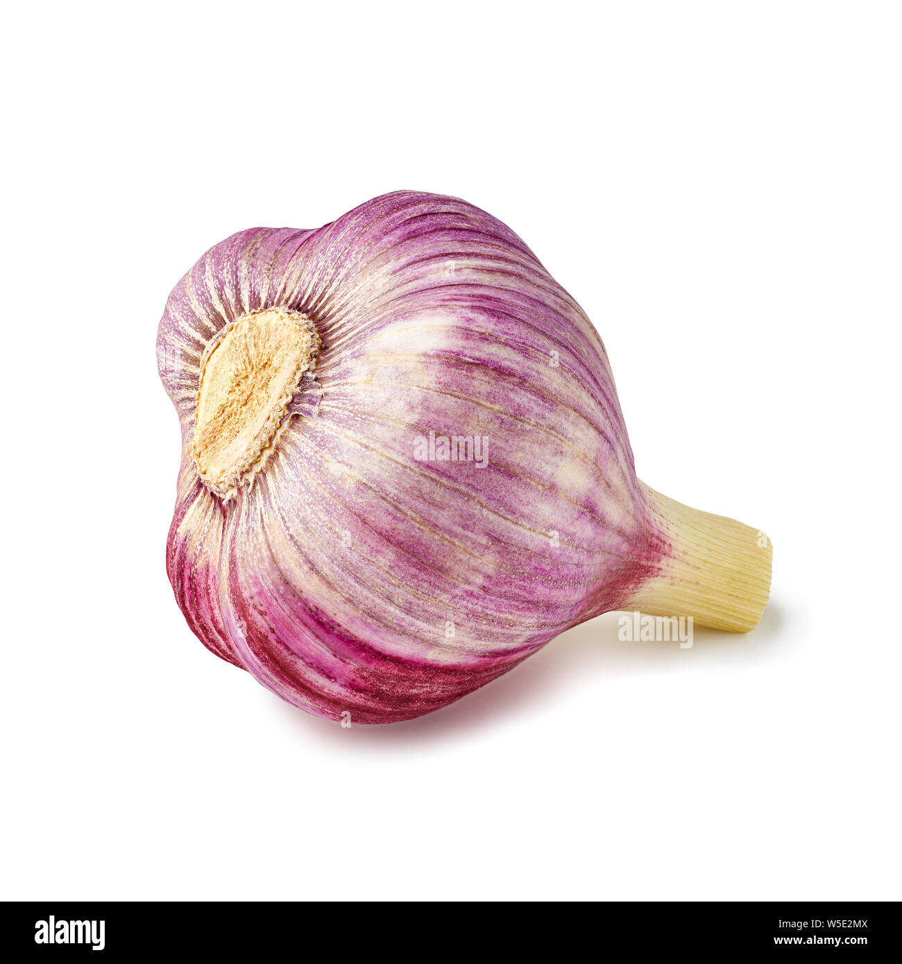 Violet bulb of fresh garlic on white Stock Photo