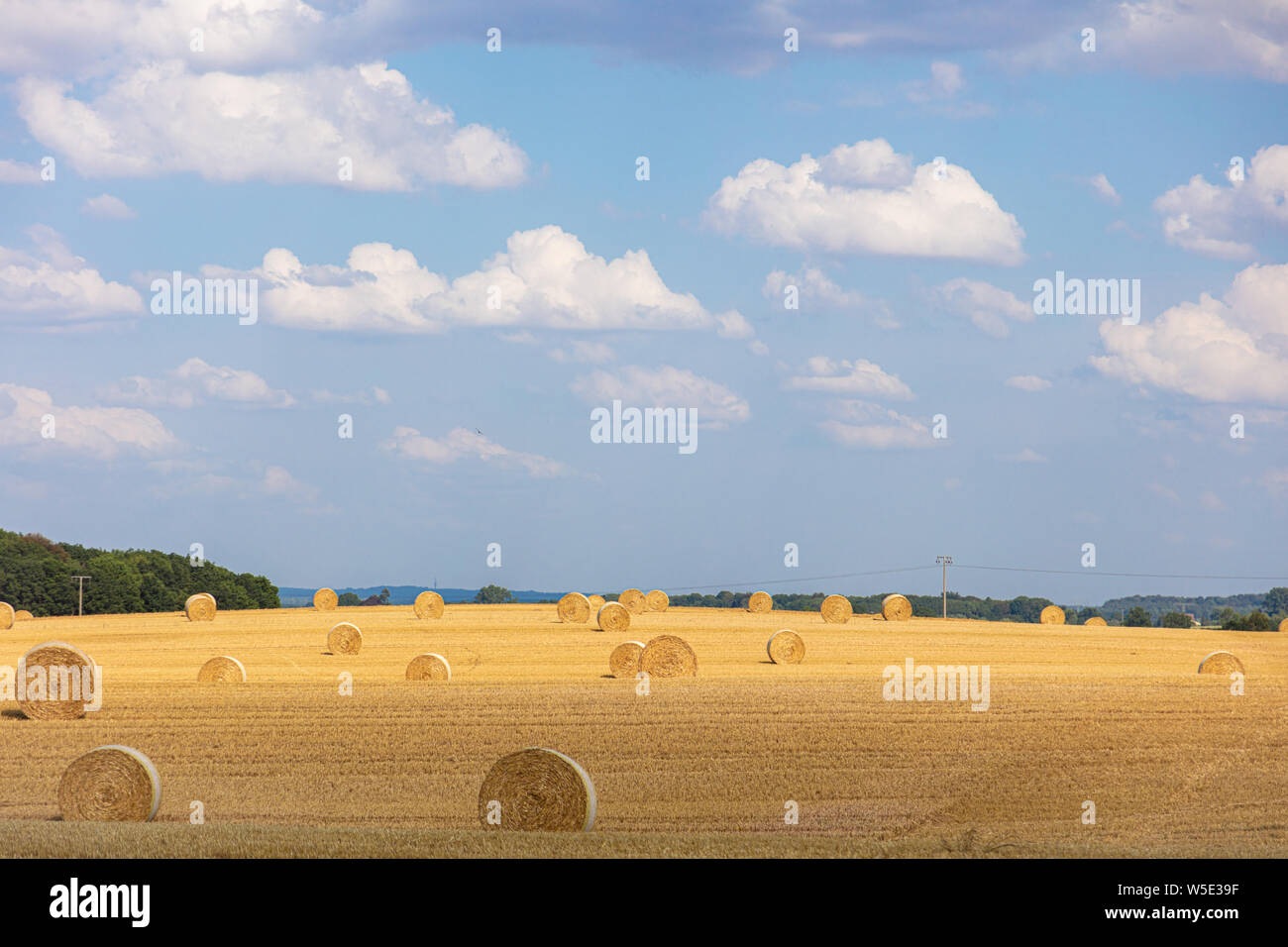 Round bales of straw on stubble field after grain harvest hi-res stock ...