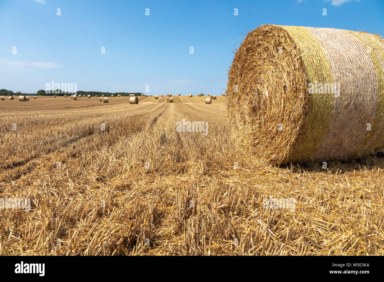 Round bales of straw on stubble field after grain harvest hi-res stock ...