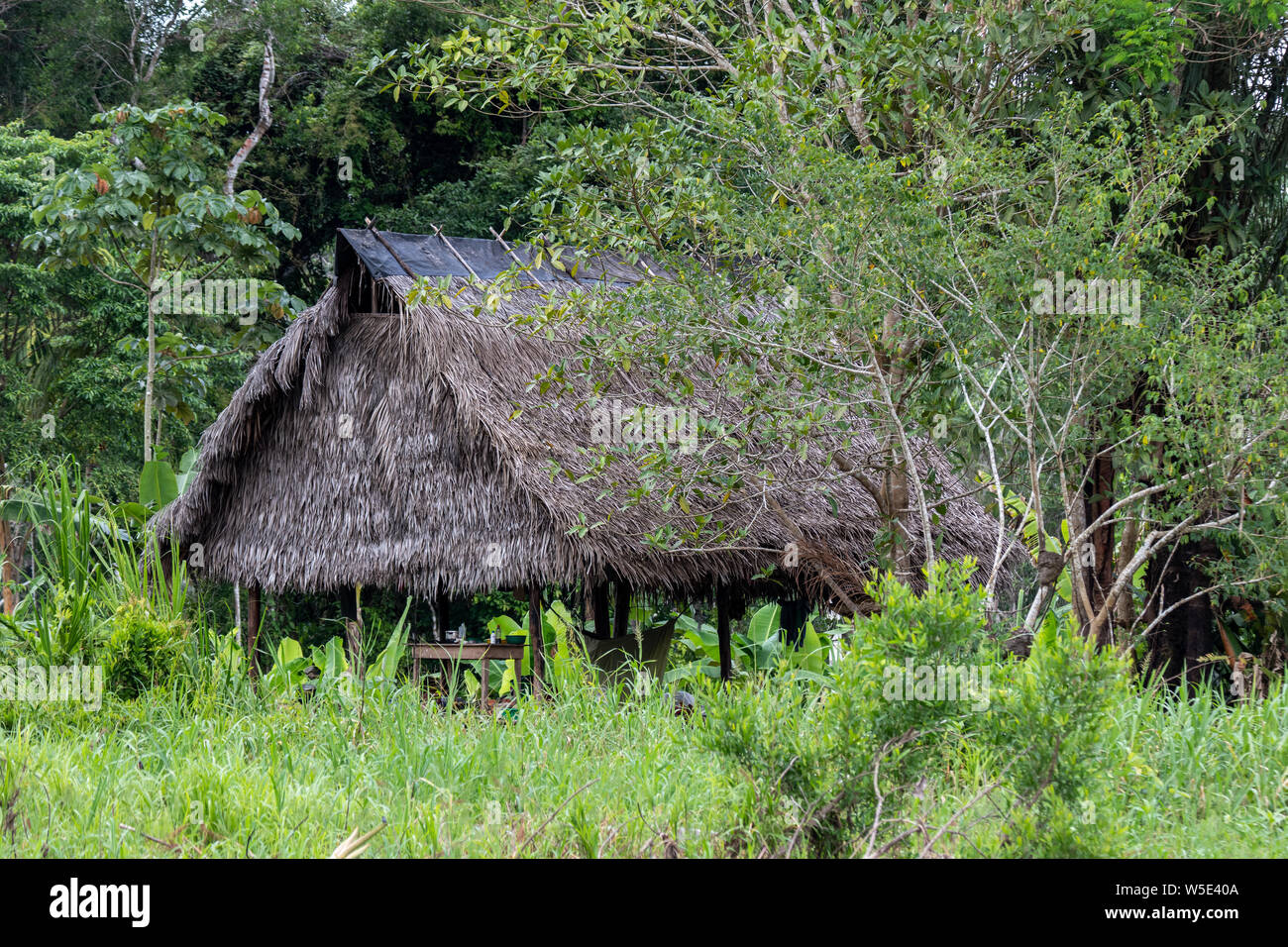 Thatched-roof Ranger Station on the Amazon River in Peru Stock Photo - Alamy