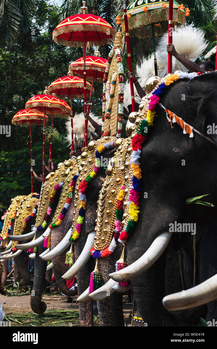 The image of Decorated elephant was taken inThrissur Pooram festival in Thrissurr, Kerala India Stock Photo