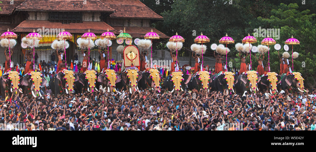 The image of Decorated elephant was taken in Thrissur Pooram festival in Thirssur, Kerala India Stock Photo
