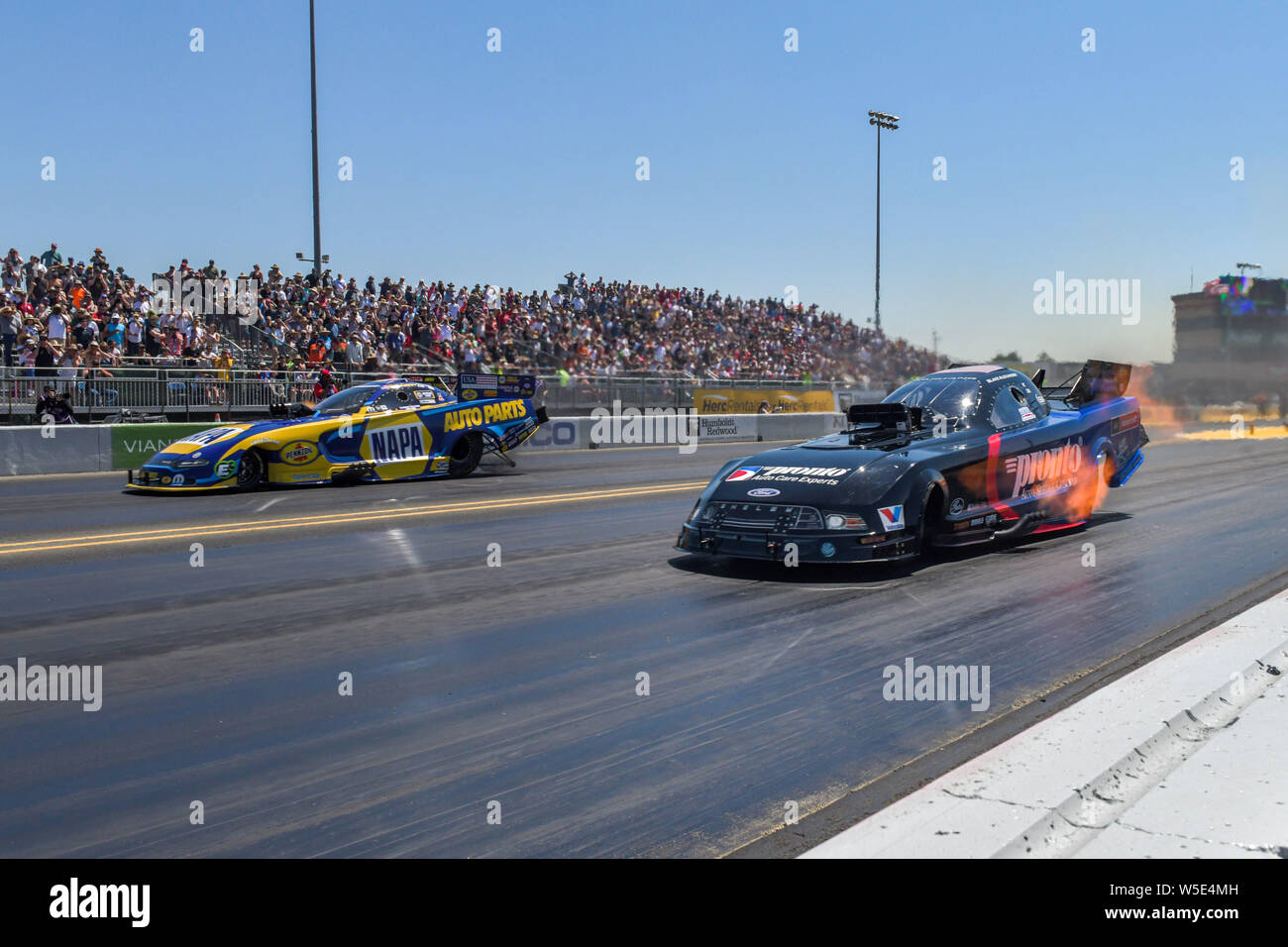 Sonoma, California, USA. 28th July, 2019. Ronn Capps in his NAPA funny car runs next to Blake Alexander in his Pronto car in the first round of eliminations during the NHRA Sonoma Nationals at Sonoma Raceway in Sonoma, California. Chris Brown/CSM/Alamy Live News Stock Photo