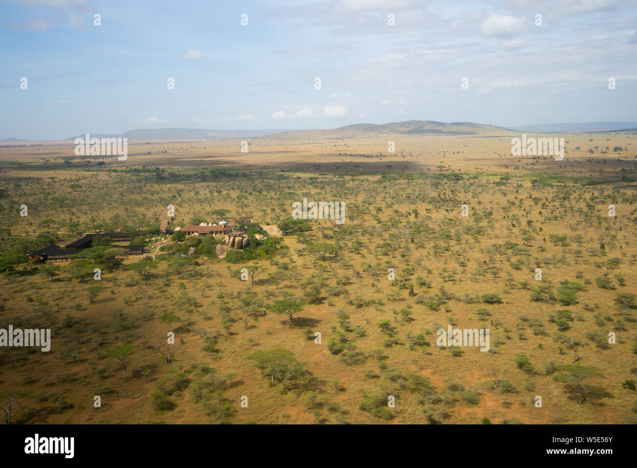 aerial photography of the grassland in Serengeti National Park, Tanzania Stock Photo