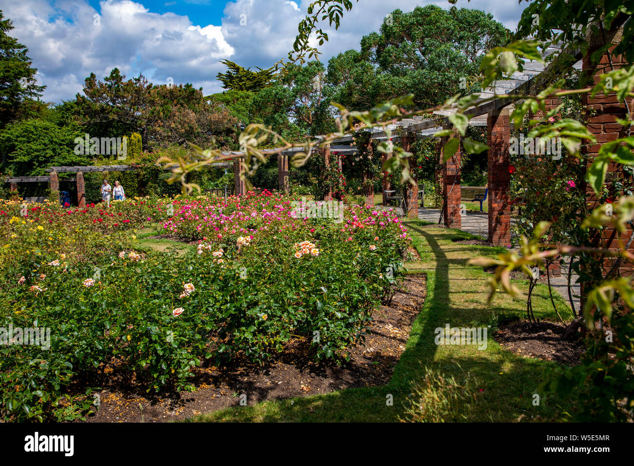 Rose Garden Southsea Stock Photo - Alamy