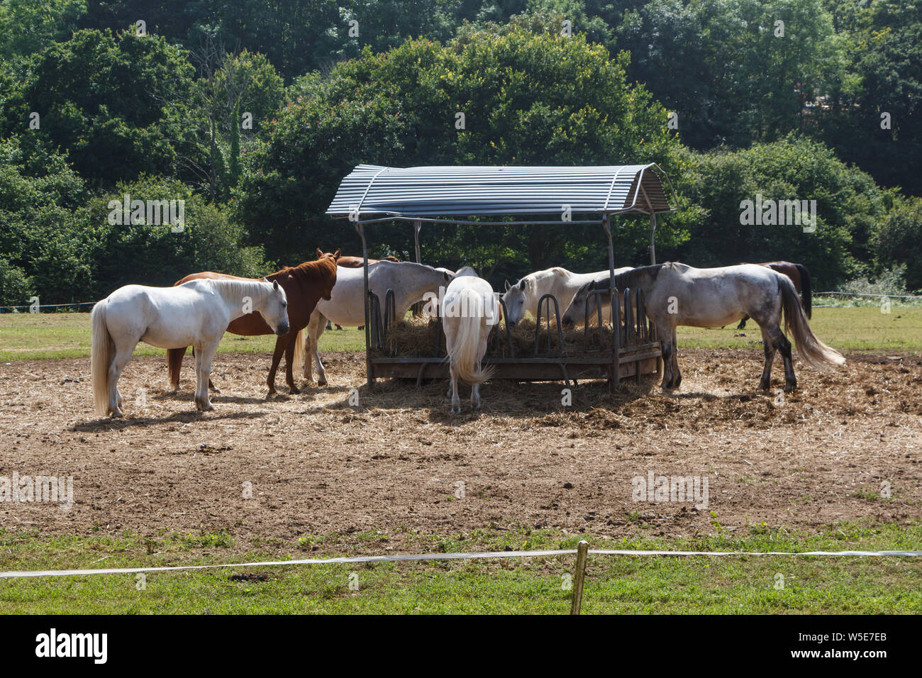 Round Bale Hay Feeder Stock Photos Round Bale Hay Feeder Stock