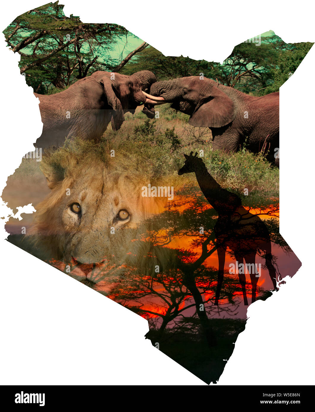 Digitally enhanced image of a Map of Kenya collage with local images of wildlife and scenery Stock Photo