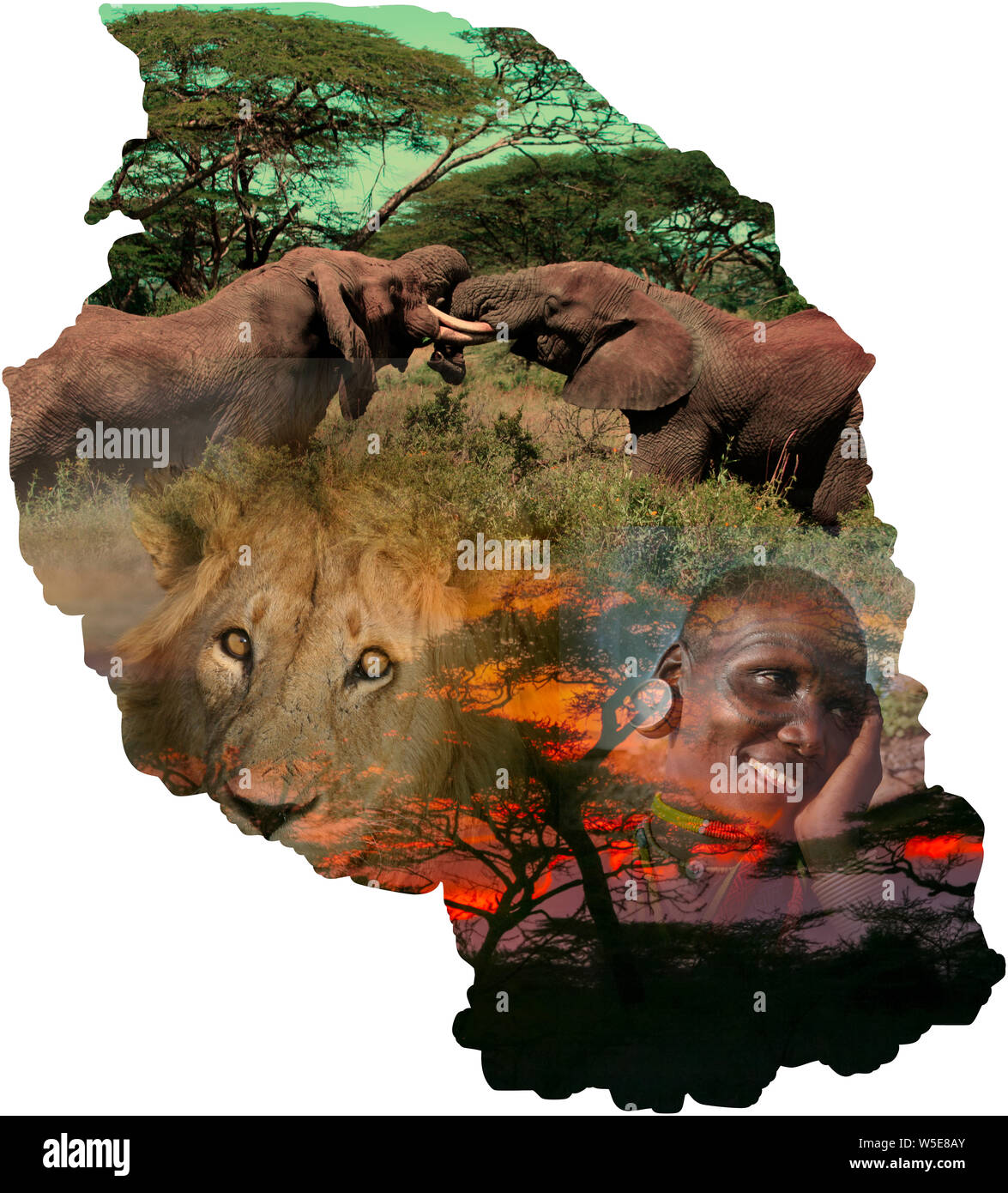 Digitally enhanced image of a Map of Tanzania collage with local images of wildlife and people Stock Photo