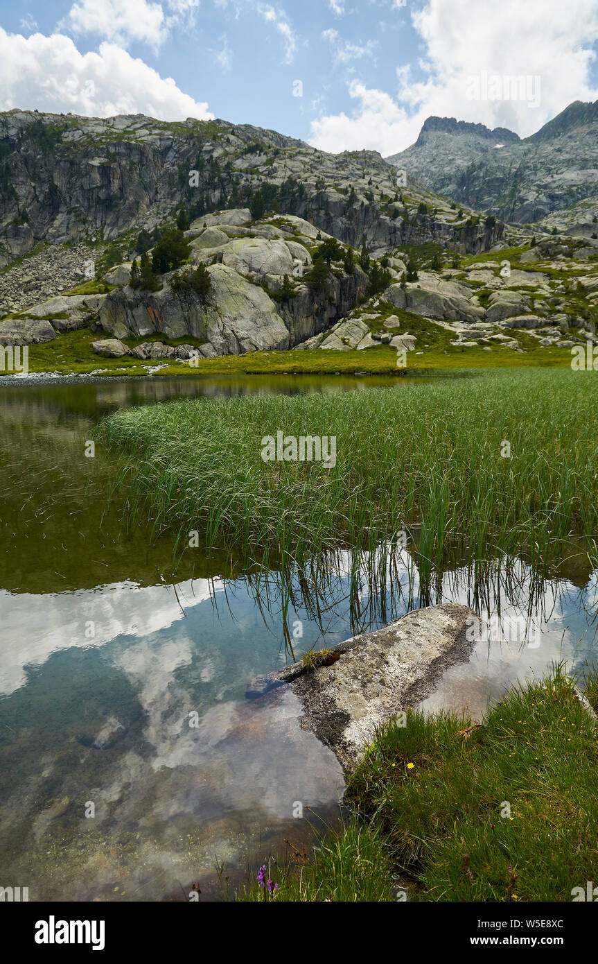 Estanh des Gargolhes de Baish lake at Aigüestortes i Estany de Sant Maurici National Park (Aran valley, Lleida, Pyrenees, Cataluña, Spain) Stock Photo