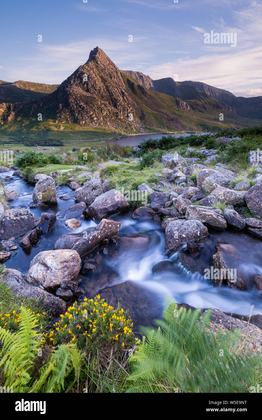 The summit of Tryfan mountain in Ogwen Valley, Snowdonia bathed in early evening sunlight. Stock Photo