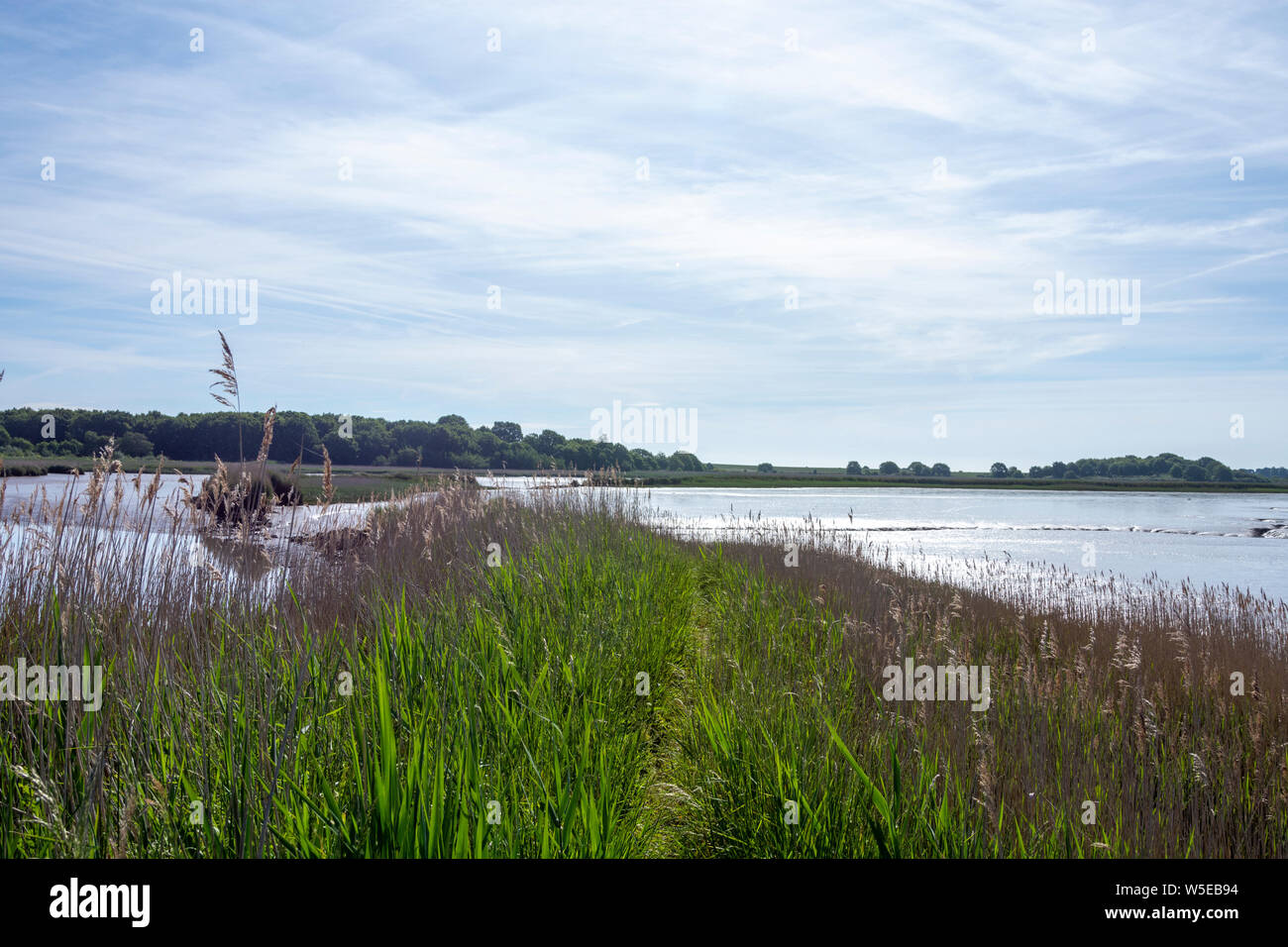 Mudflats and reed beds on River Alde just below Snape Maltings showing ...