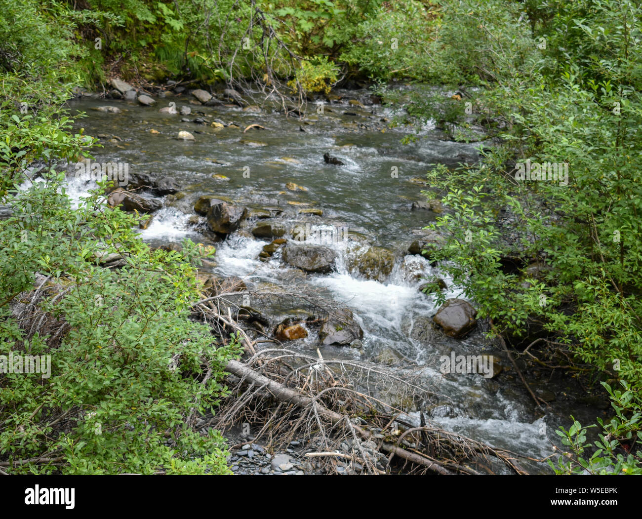 Bertha Creek Campground, Alaska Stock Photo Alamy