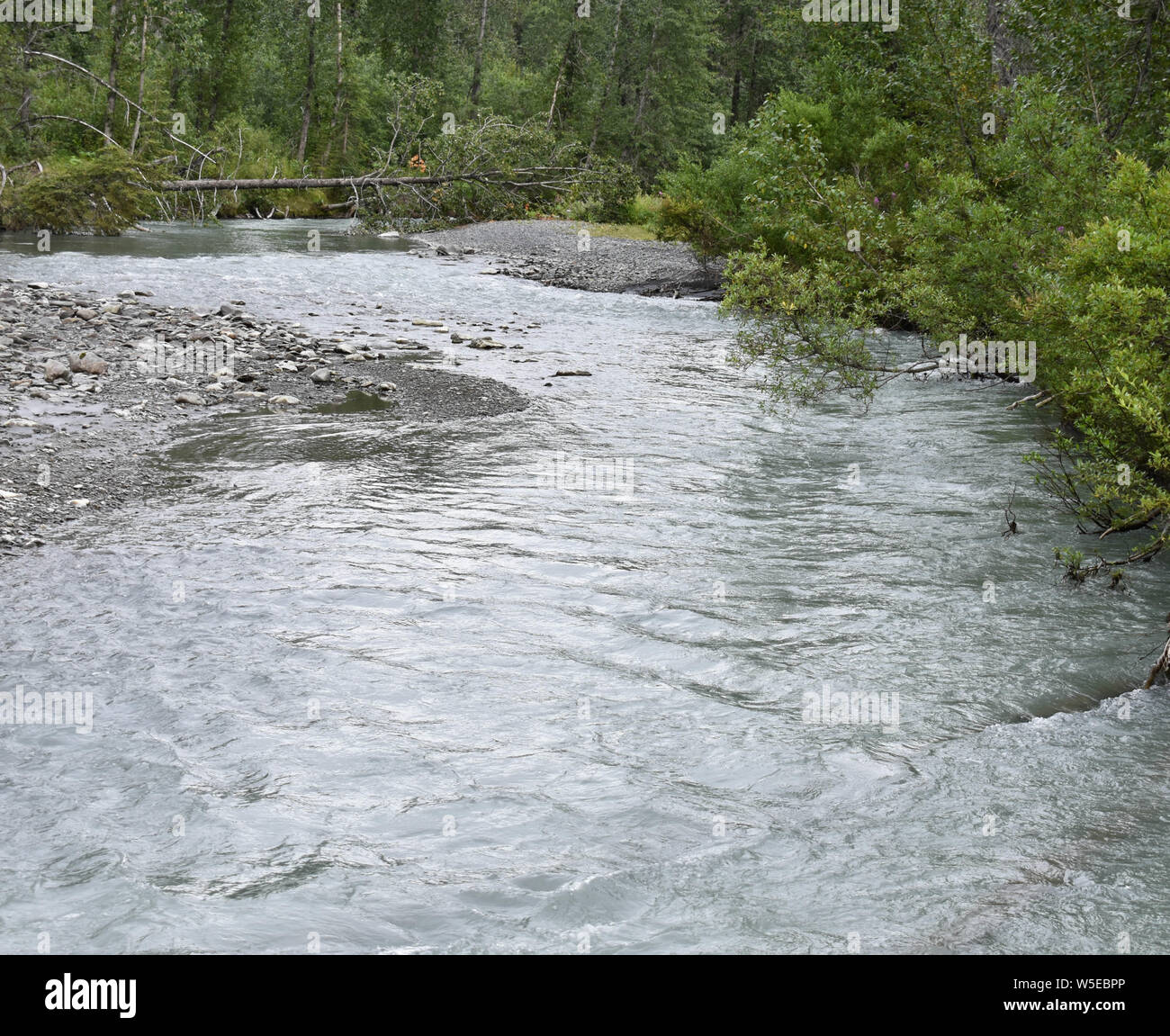 Bertha Creek Campground, Alaska Stock Photo Alamy