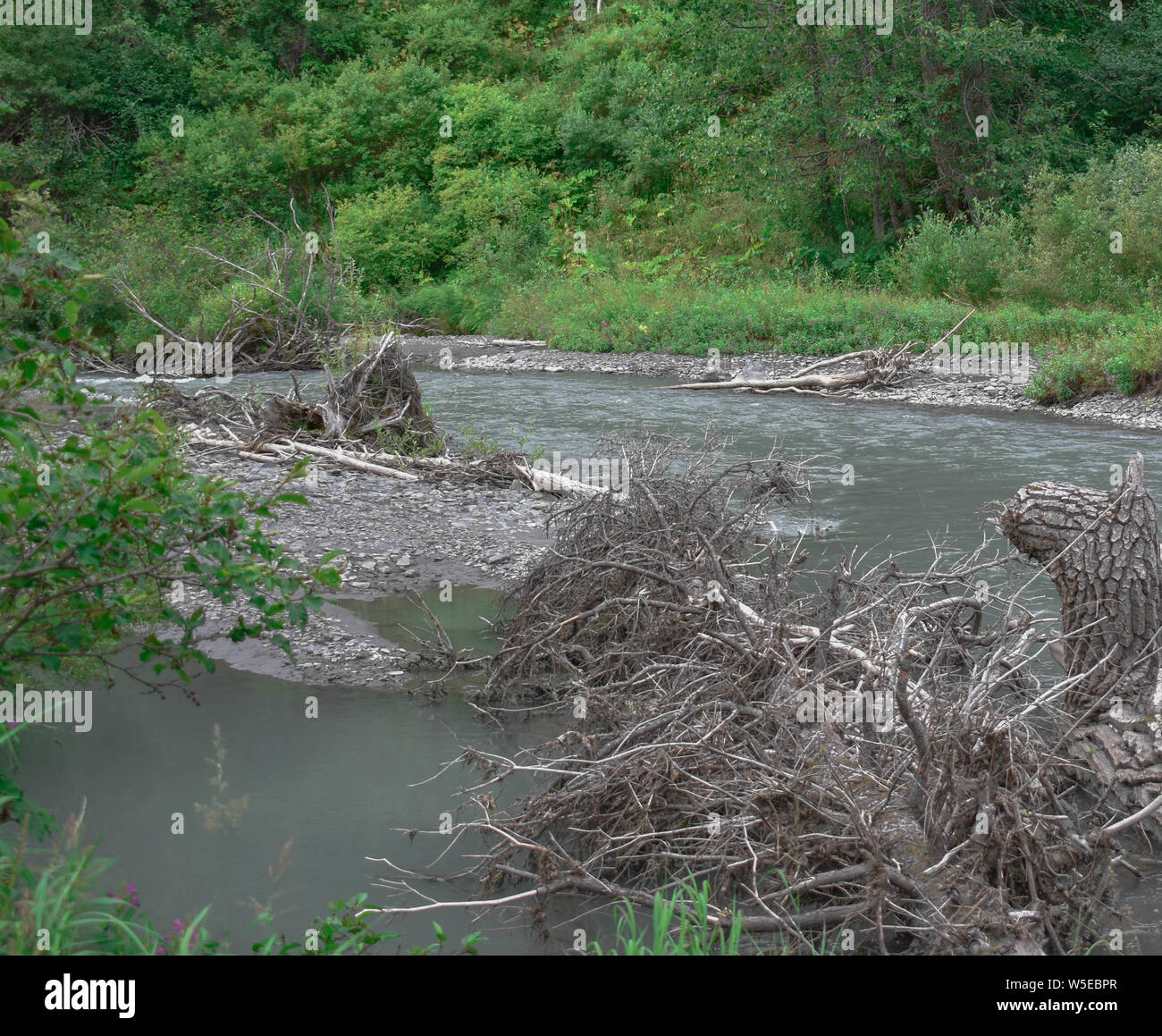 Bertha Creek Campground, Alaska Stock Photo Alamy