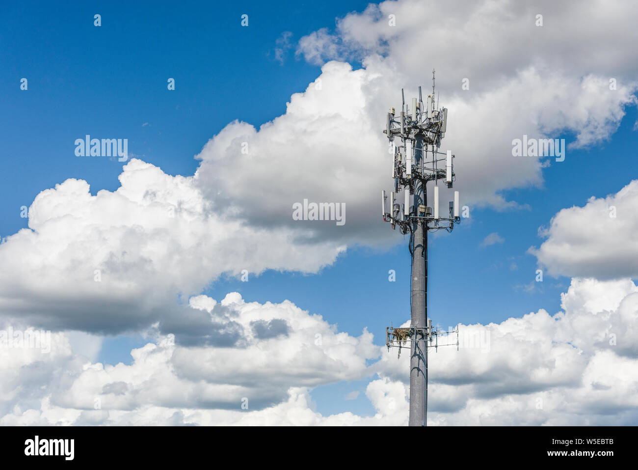 Communications Cell Phone Tower  LTE 4G 5G located in the City of Tavares, Florida USA Stock Photo