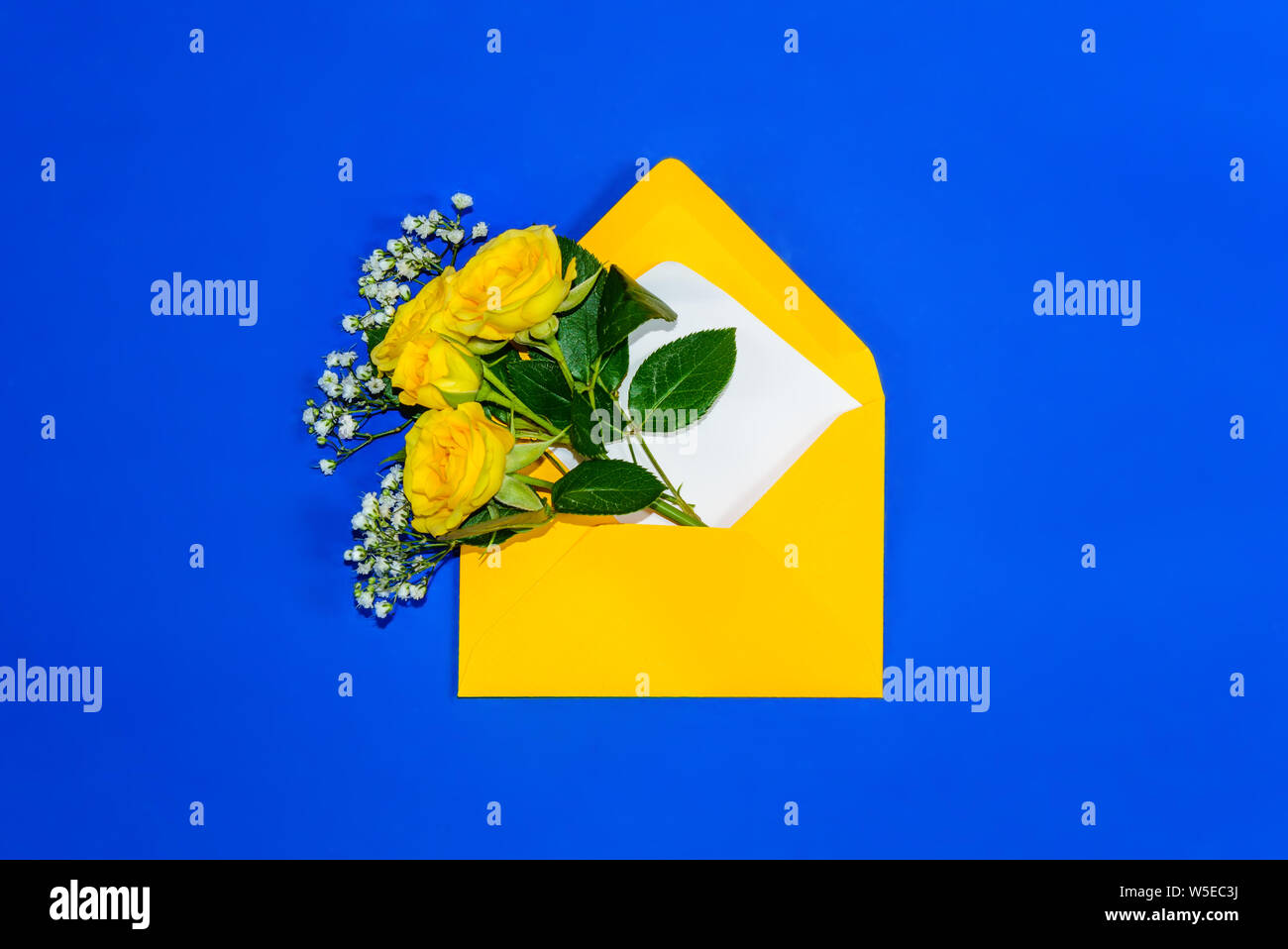 Yellow roses and white Gypsophila in envelope close-up on blue background. Top view, flat lay. Template for greeting card. Festive floral background Stock Photo