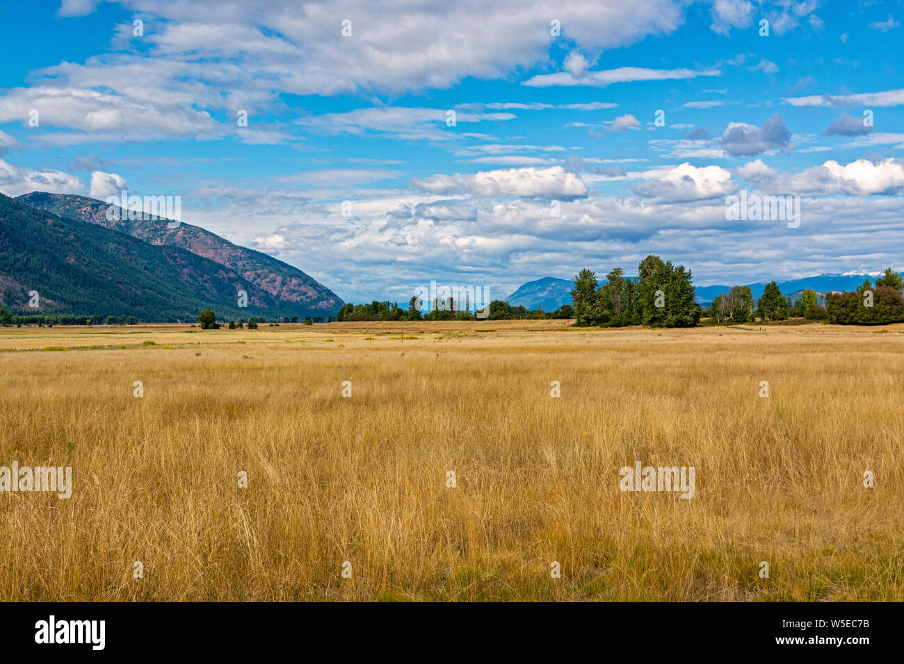 Kootenai county hi-res stock photography and images - Alamy