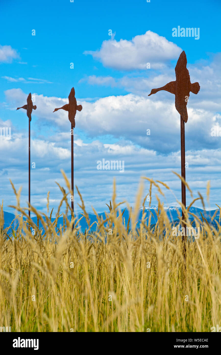 Idaho, Boundary County, Kootenai National Wildlife Refuge, metal Mallard duck silhouettes used for training hunters to visually gauge distances Stock Photo