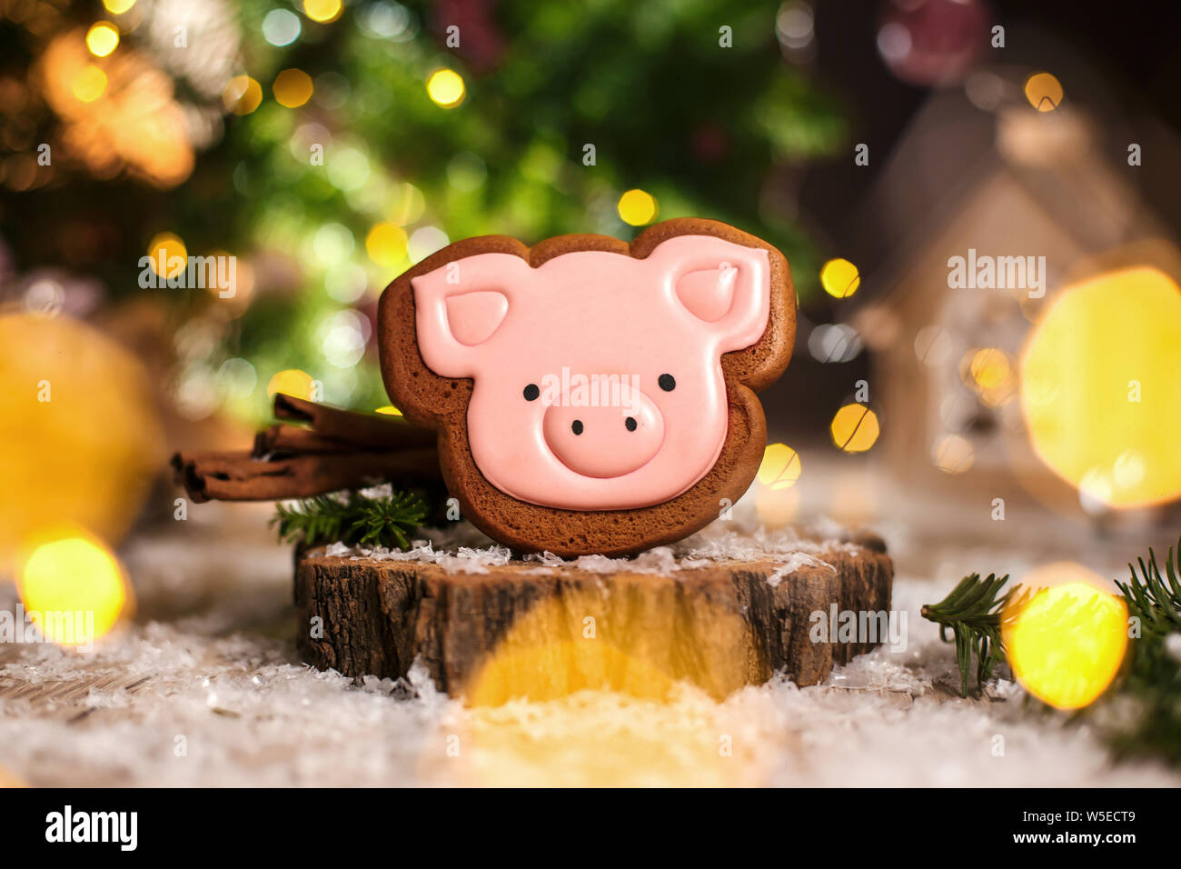Holiday traditional food bakery. Gingerbread pink pig head in cozy warm