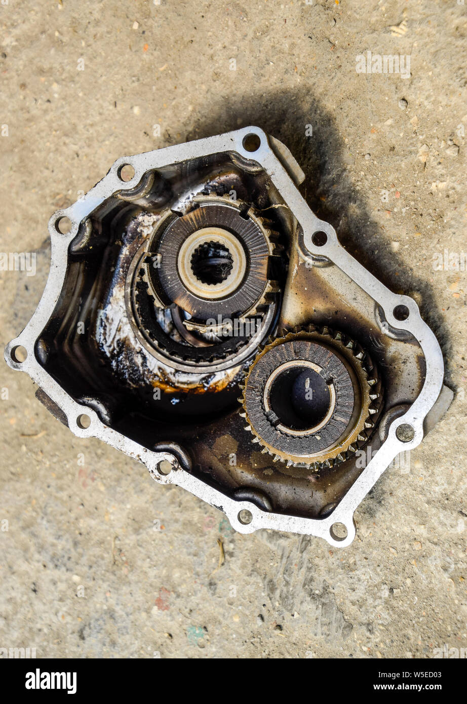 Gear with bearings and gearbox housing. Dismantled box car