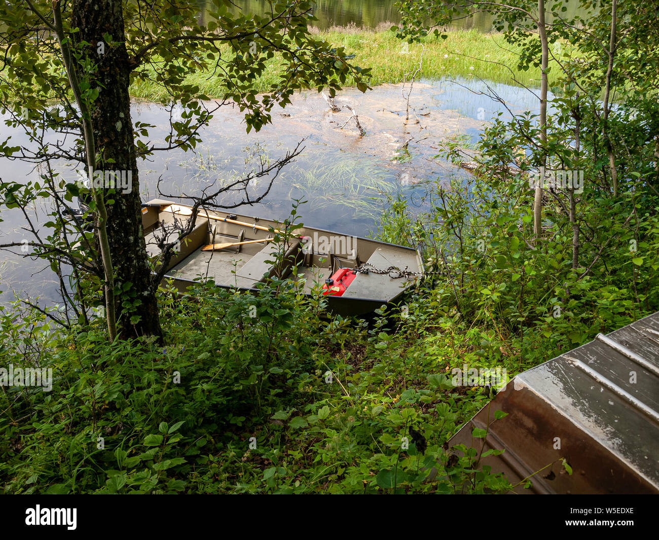 Alexander Creek and the Susitna River. Boating, fishing, hunting dog