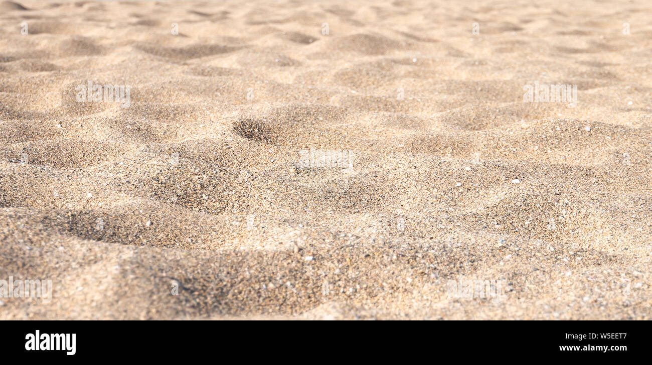 Sand texture on the beach. Sandy dune surface. Stock Photo