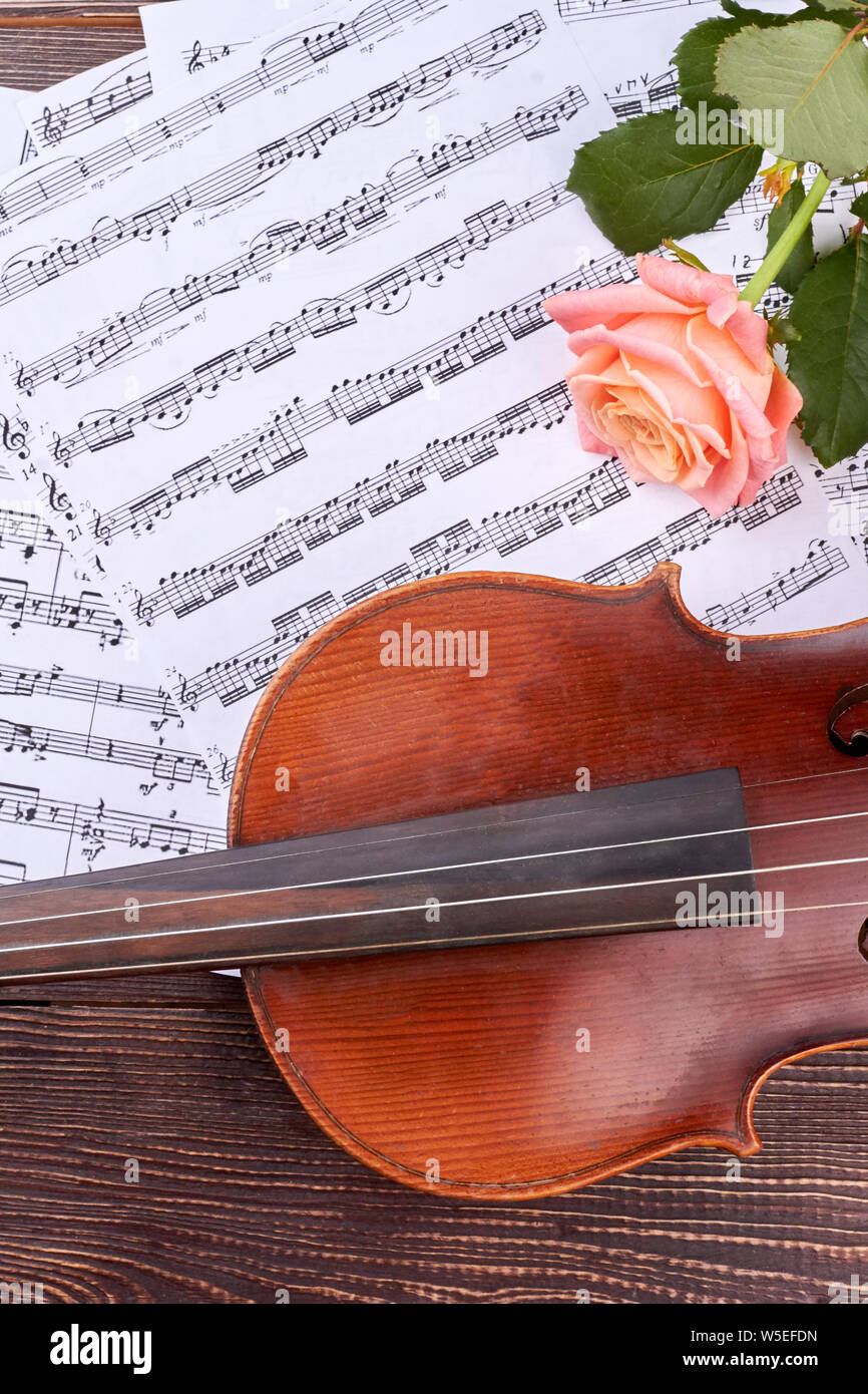 Vintage violin, rose and musical notes Stock Photo - Alamy