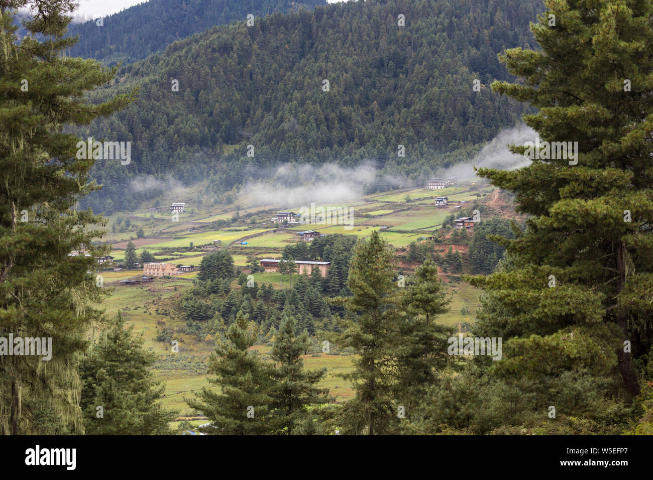View of Phobjikha Valley, Bhutan, dotted with traditional Bhutanese farmhouses with their distinctive architecture. Stock Photo