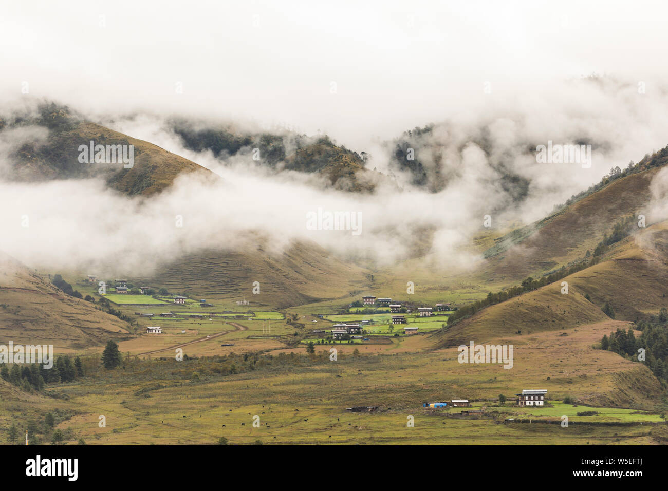View of Phobjikha Valley, Bhutan, dotted with traditional Bhutanese farmhouses with their distinctive architecture. Stock Photo
