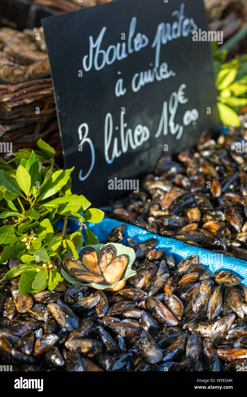 Mussels for sale at the market, Paris Stock Photo Alamy