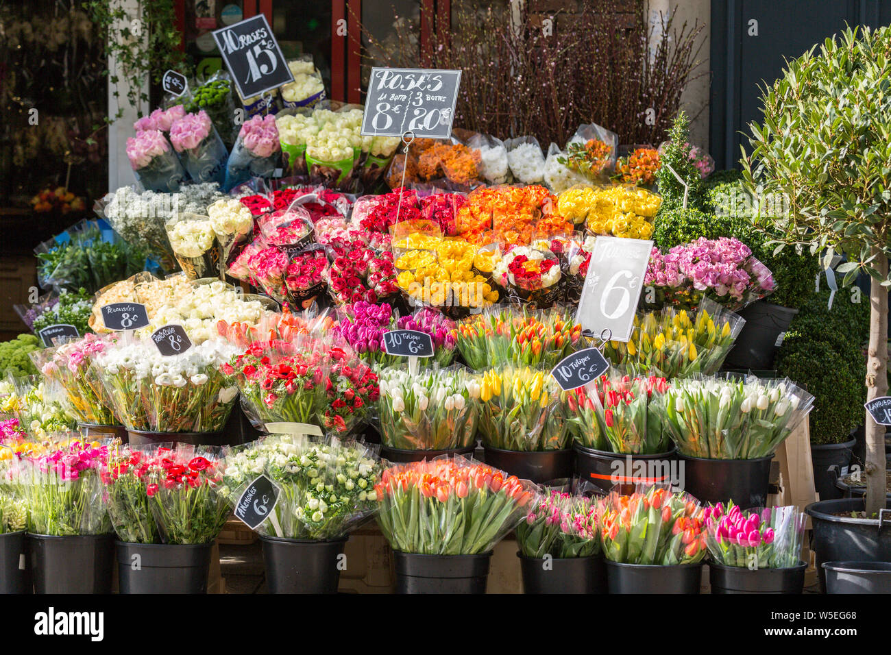 Spring flowers for sale at a flower shop on rue Cler, Paris, France Stock Photo Alamy