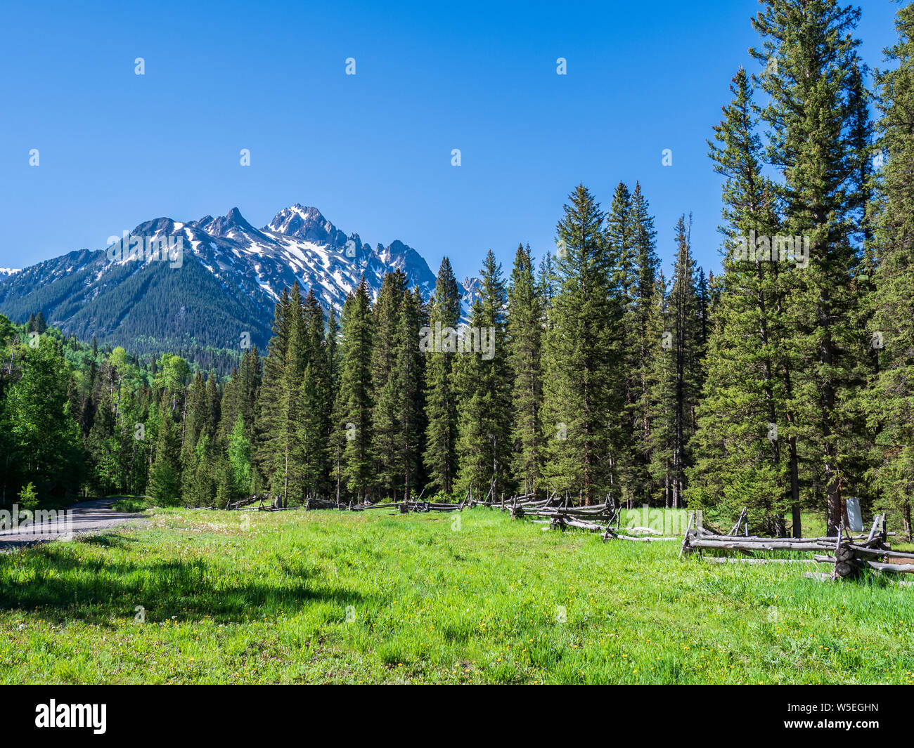 Log fence and meadow, Dallas Creek Road, County Road 7, San Juan Mountains near Ridgway, Colorado. Stock Photo