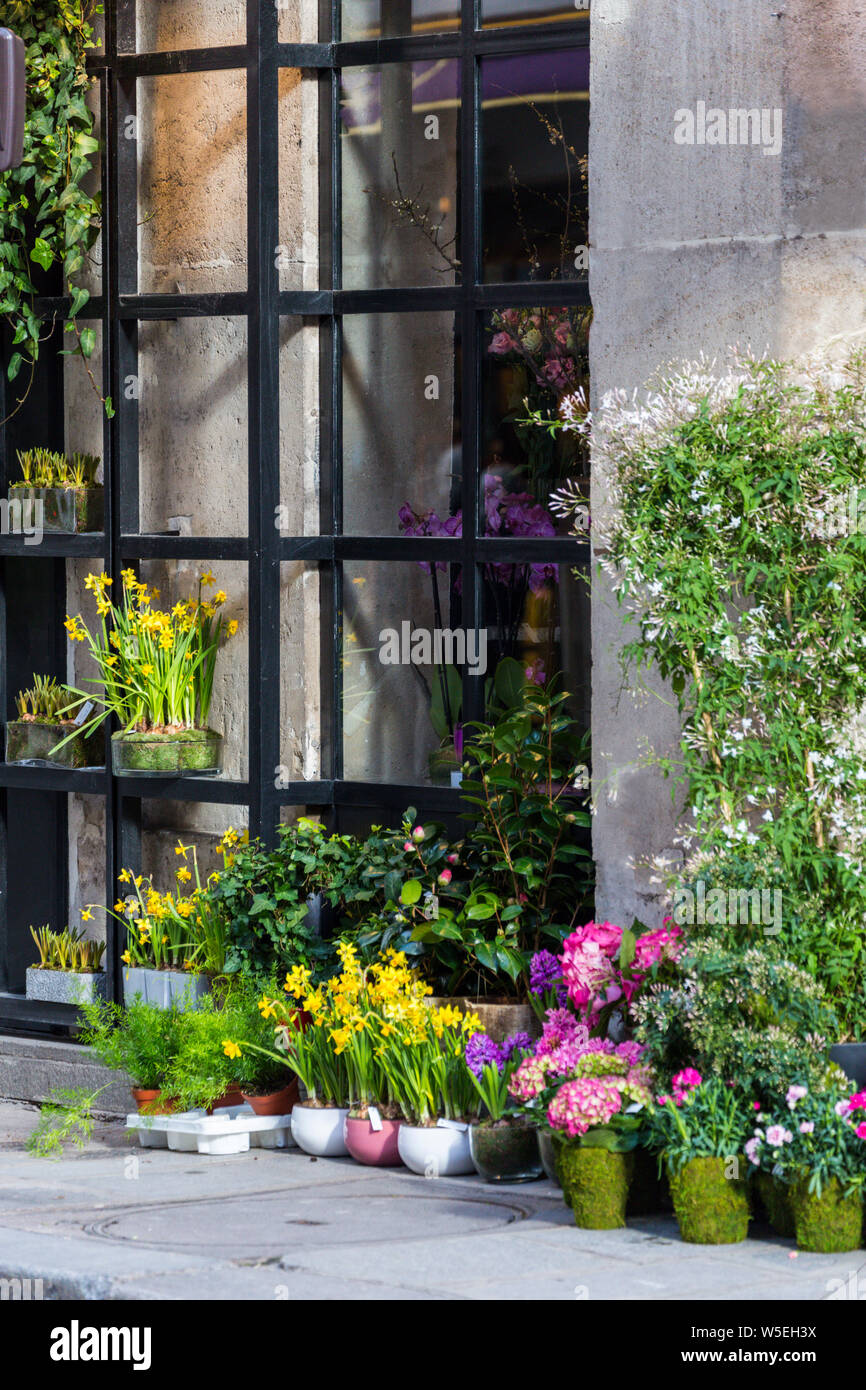 Spring flowers outside a Paris, France flower shop Stock Photo Alamy