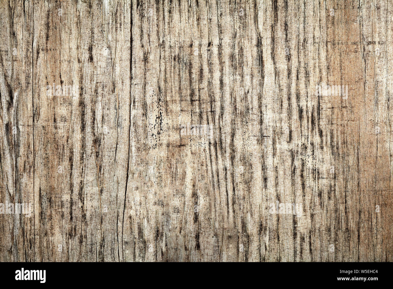 Rough wood background or texture Stock Photo