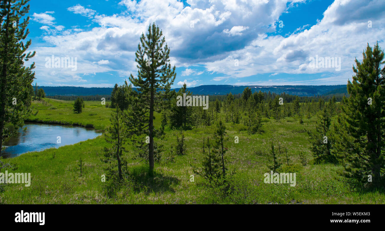 Yellowstone National Park Prairie Land Stock Photo Alamy