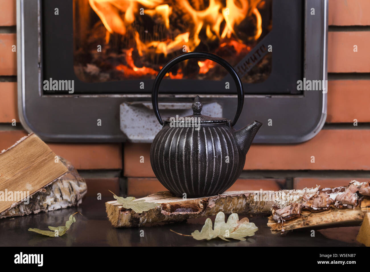 Comfort interior with closed burning fireplace. Composition, cast iron