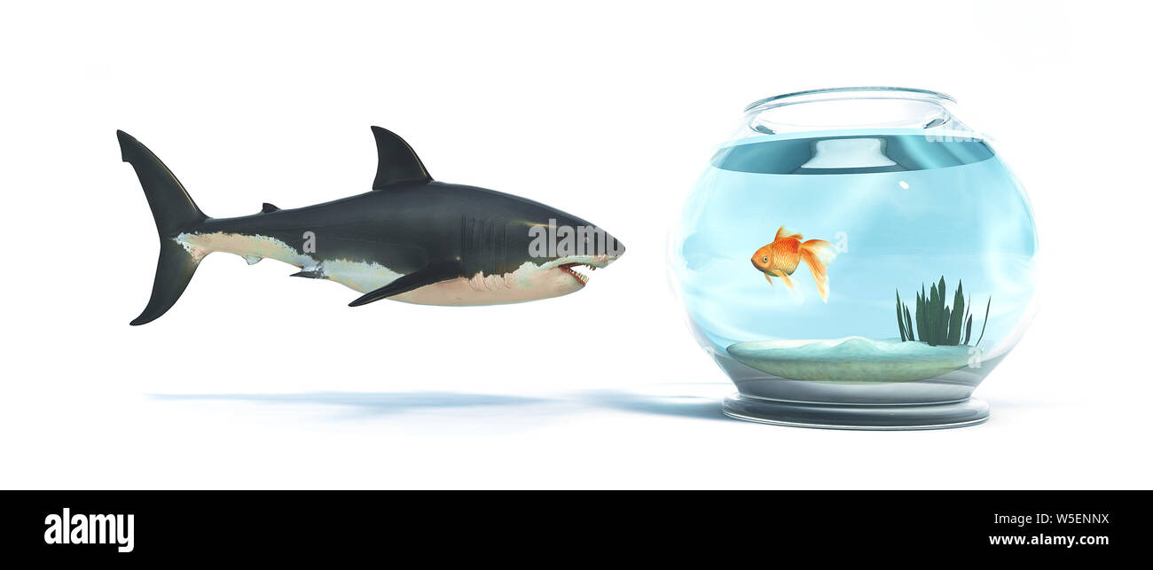 Shark Cut Out Stock Images Pictures Page 3 Alamy