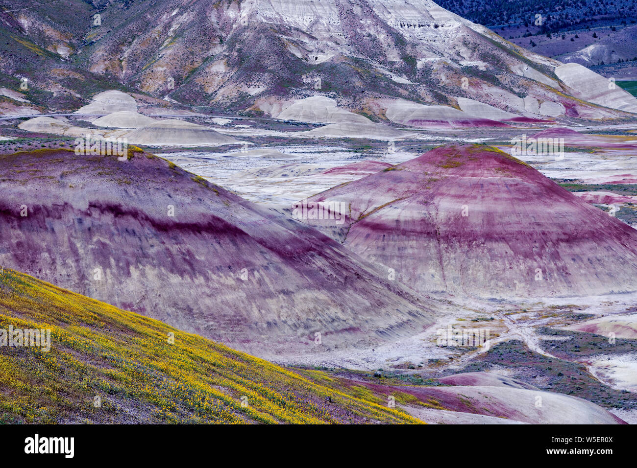 Oregon's Painted Hills is one of the three units of the John Day Fossil