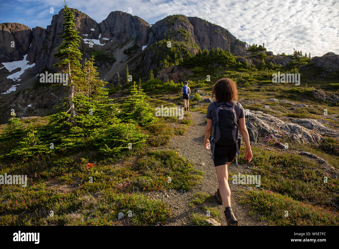 Adventurous girl hiking the beautiful trail in the Canadian Mountain Landscape during a vibrant summer evening. Taken at Mt Arrowsmith, near Nanaimo, Stock Photo