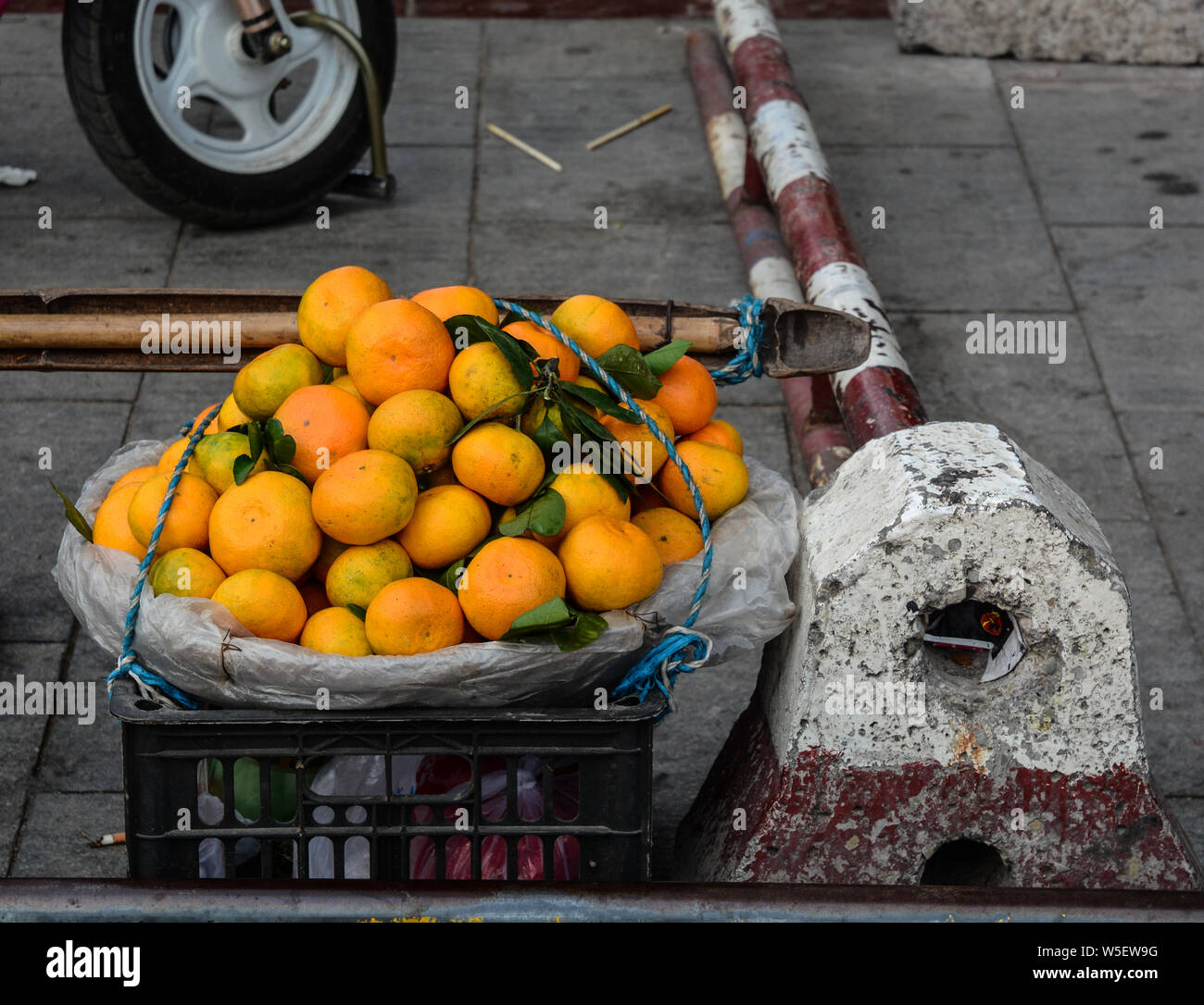 https://c8.alamy.com/comp/W5EW9G/ripe-and-tasty-mandarin-tangerine-for-sale-at-street-market-W5EW9G.jpg