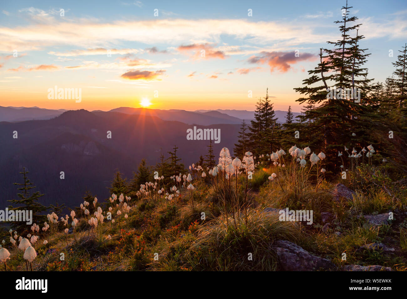 Beautiful View of American Mountain Landscape during a vibrant and colorful summer sunset. Taken from Sun Top Lookout, in Mt Rainier National Park, So Stock Photo
