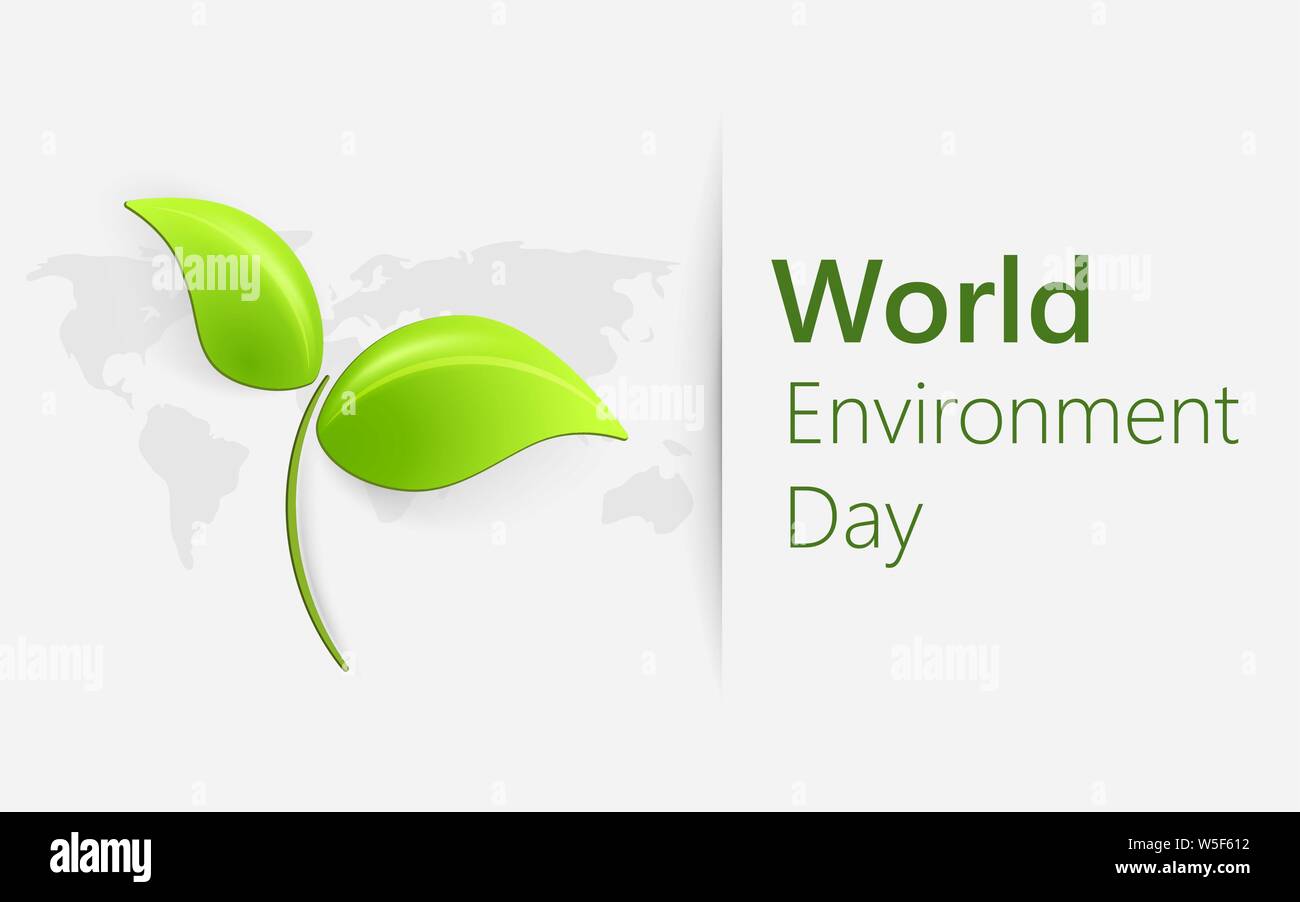 Banner For World Environment Day With Green Leaves Stock Vector
